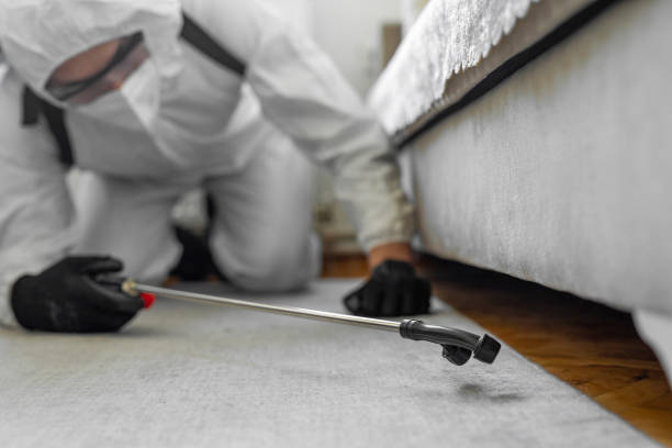 Professional Bed Bug Control technician working in Converse County County, WY